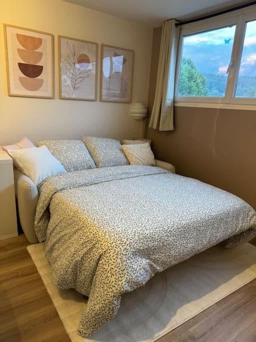 Studio Cosy Au Coeur Du Haut-Jura Foncine-le-Bas Bagian luar foto